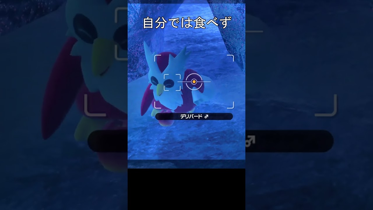 デリバードにりんごをあげると、、#ポケモン #ポケモンスナップ #デリバード