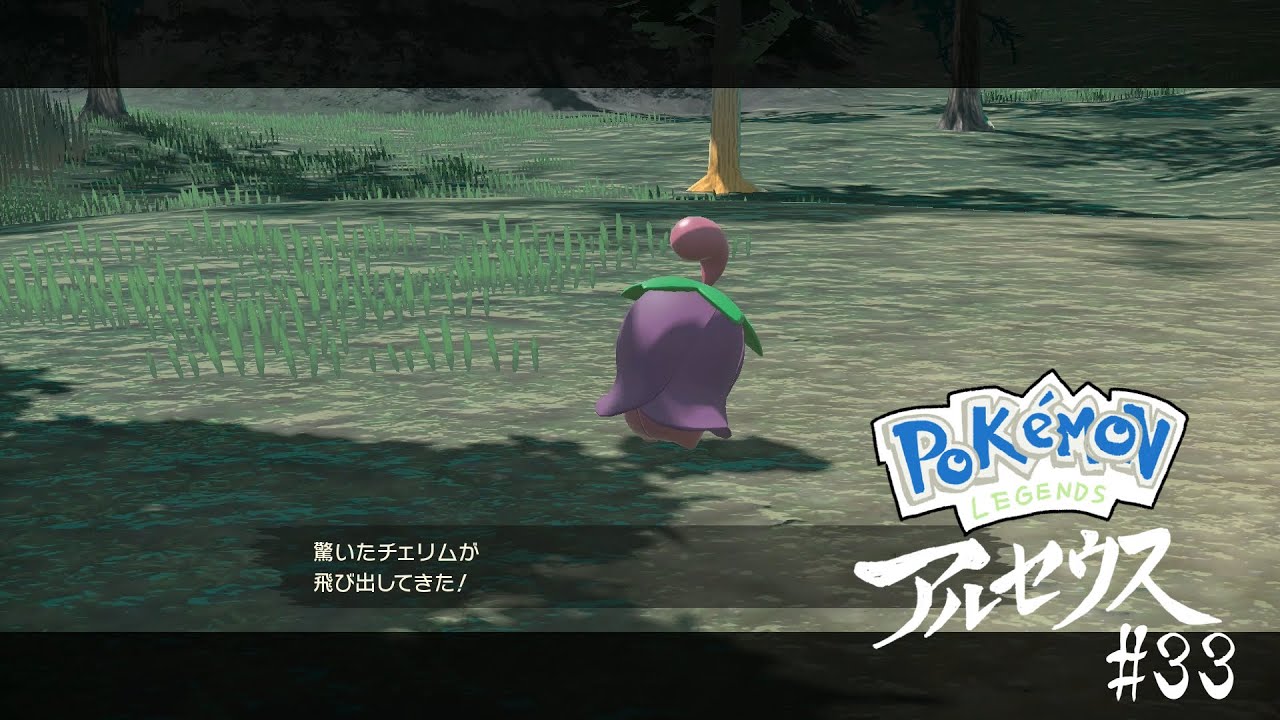 #33　チェリムでた！｜ポケモンレジェンズアルセウス