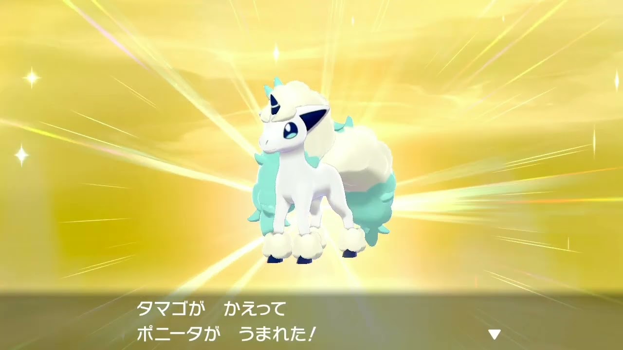 色違いガラルポニータ進化【剣盾Version】ポニータ、ギャロップ