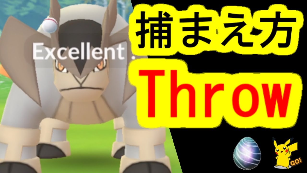 テラキオンにエクセレントスロー捕獲