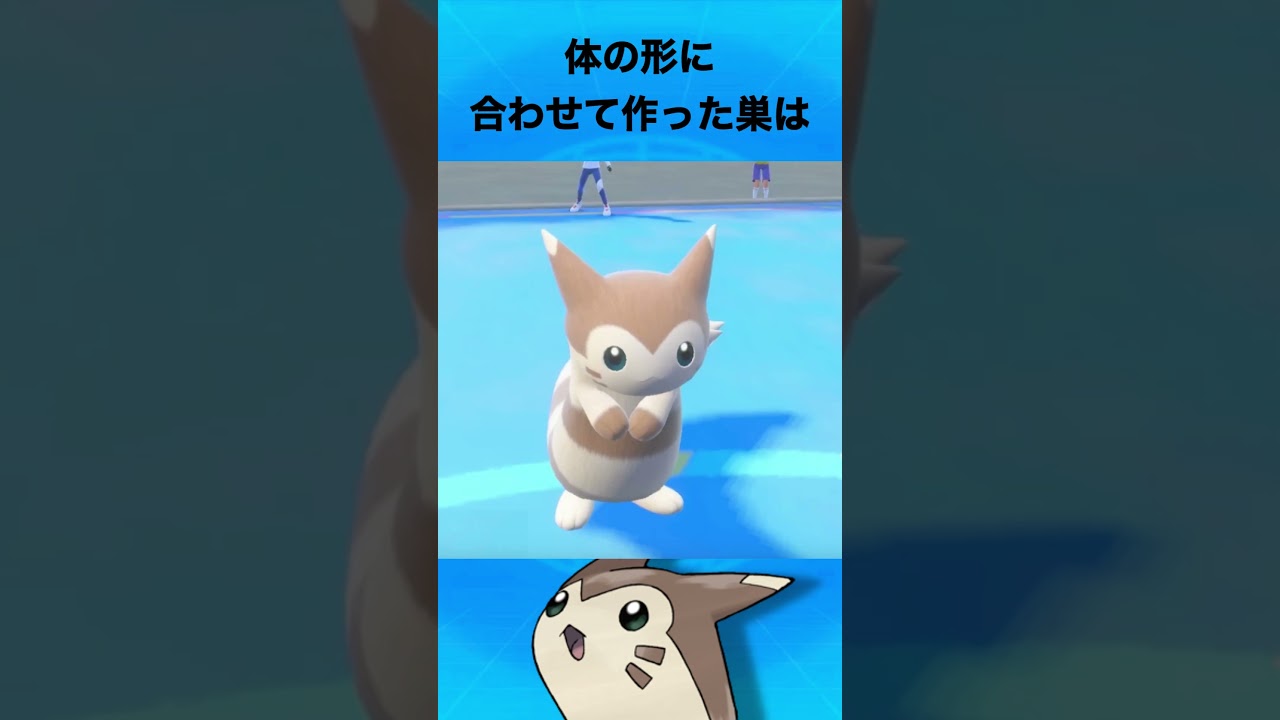 オオタチについて #ポケモン #オオタチ
