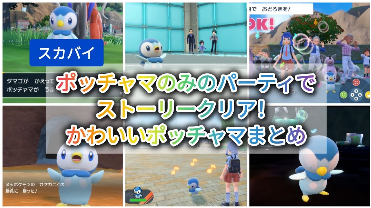 【スカバイ】ポッチャマのみのパーティでストーリークリア！かわいい動きまとめ
