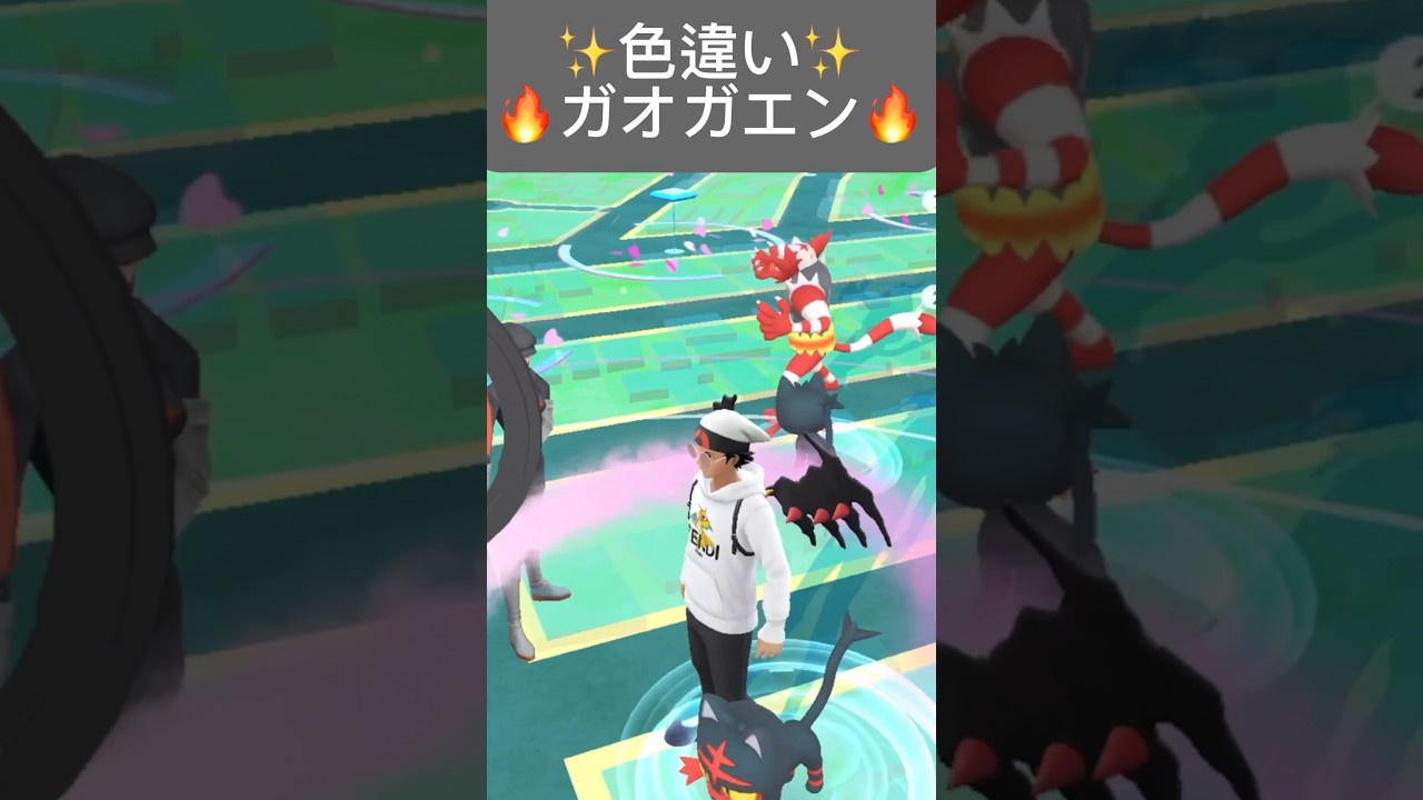 【ポケモンGO】色違いガオガエンが現れた!!【🔥Shiny Incineroar Pokémon GO X Pokemon Card Artwalk🔥】
