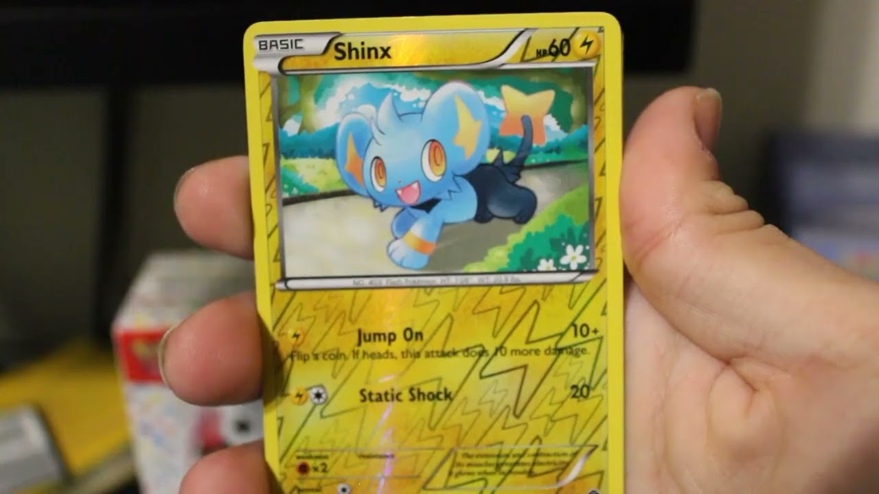Luxray Binder 1