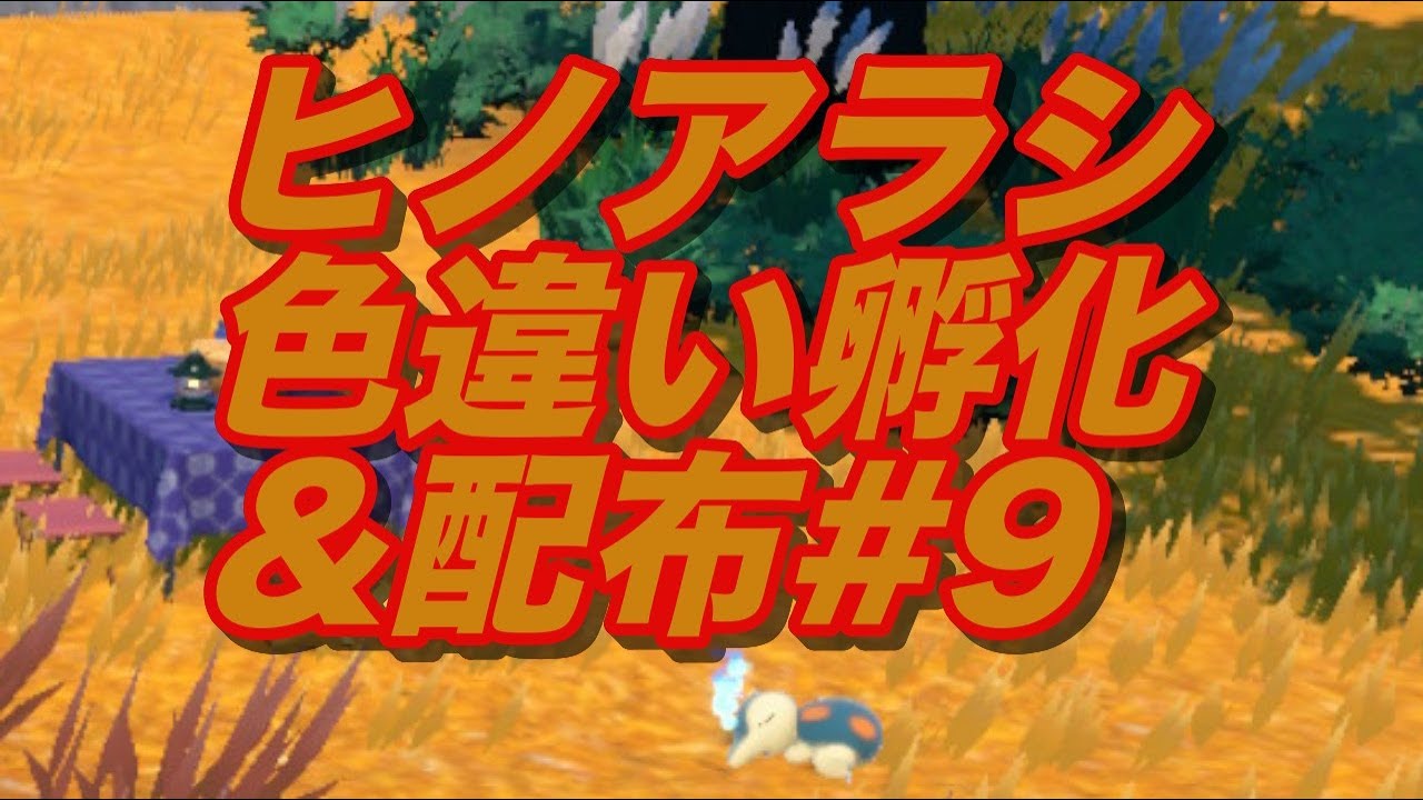 大好きなヒノアラシの色違い孵化(755個目〜)&配布やってくよ！