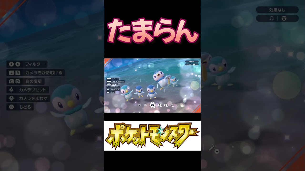 【必見】ありがとうポッチャマ！！ #ポケモンSV #pokemon #shorts