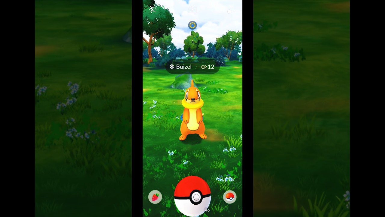 Catching Wild Pokémon Buizel CP 12 - Pokemon GO Indonesia Gameplay #Shorts #PokemonGOShorts