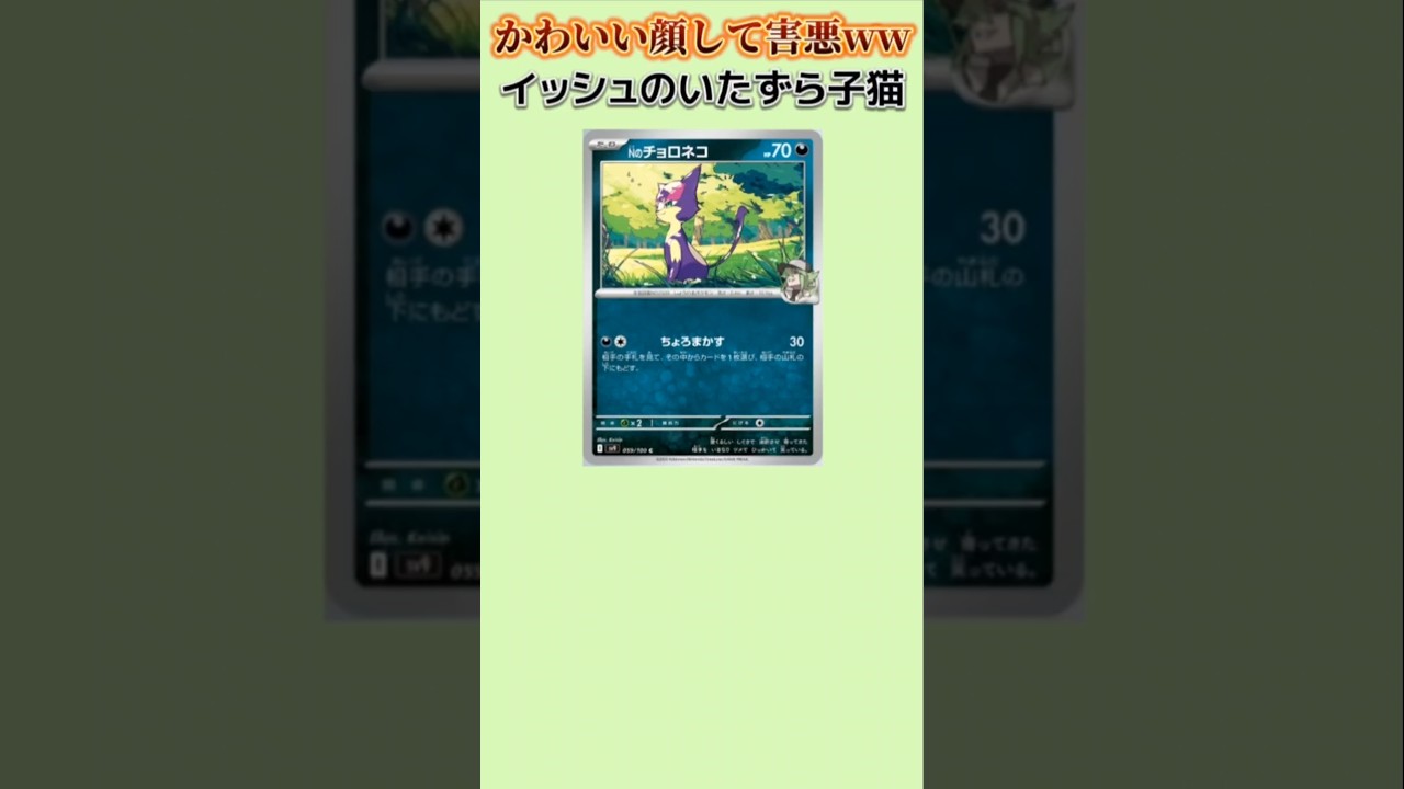 【ポケモン】かわいい顔して害悪ないたずら子猫「チョロネコ」【ポケモン解説員】#ポケモンBW#ポケカ#ポケモン解説員