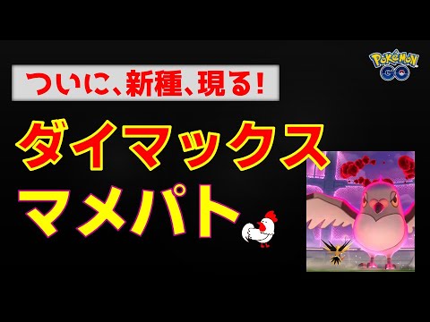 本編【新種！ダイマックス マメパト、2人討伐】 #ポケモンgo #ポケモン #ダイマックス #マメパト #サンダー