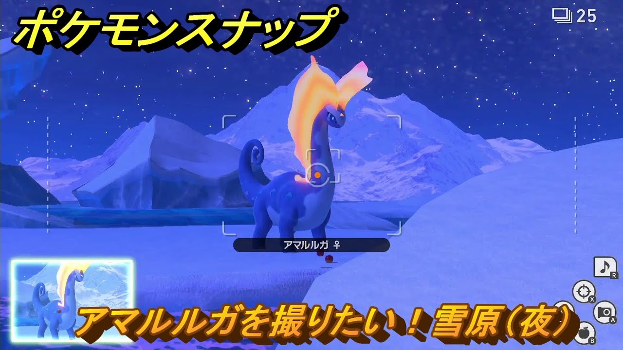 ポケモンスナップ　アマルルガを撮りたい！雪原（夜）調査レベルMAX　＃１１０　【New ポケモンスナップ】