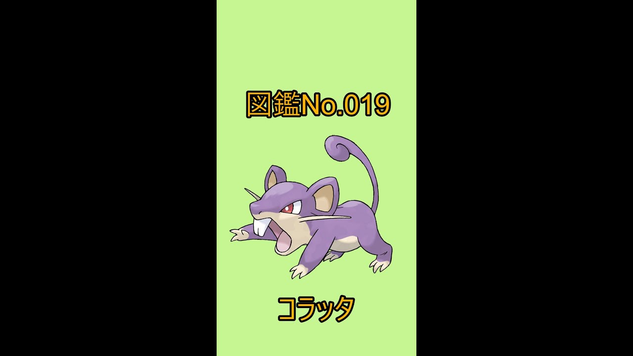 【ポケットモンスター】ポケモン図鑑じっくり解析シリーズ！ーNo.019コラッター#Shorts