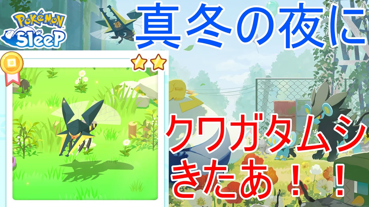 【ポケモンスリープ】真冬の夜にクワガタムシが来て熱い夜になること間違いなし