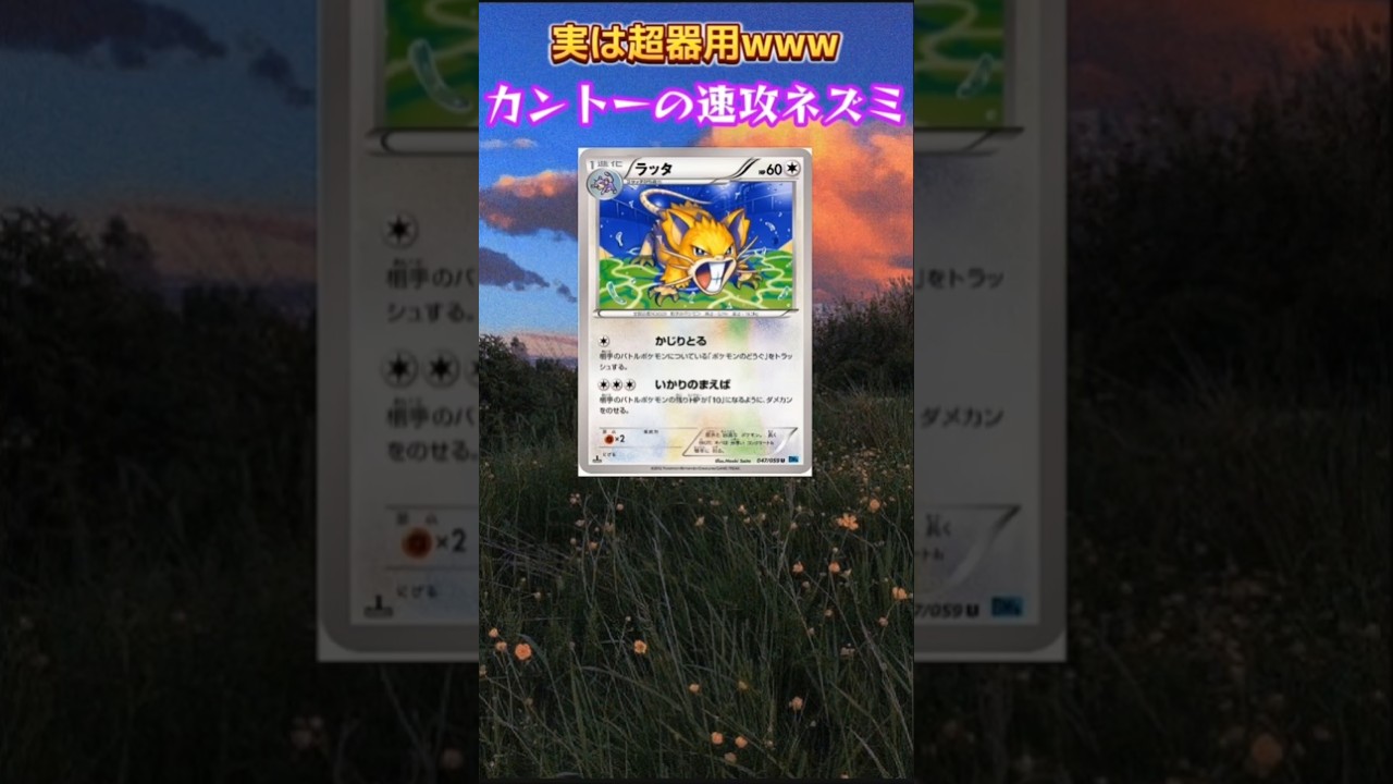 【ポケモン】かなり器用な速攻ネズミ「ラッタ」【ポケモン解説員】#初代ポケモン#ポケカ#ポケモン解説員