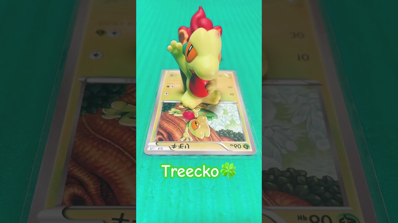 #Treecko🍀#pokemon