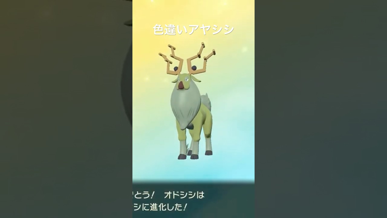 色違いオドシシから色違いアヤシシへの進化シーン #ポケモンレジェンズ