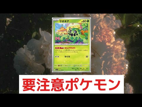 【考察】「サボネア」が要注意ポケモンの理由（ポケカ）【ポケモン解説員】