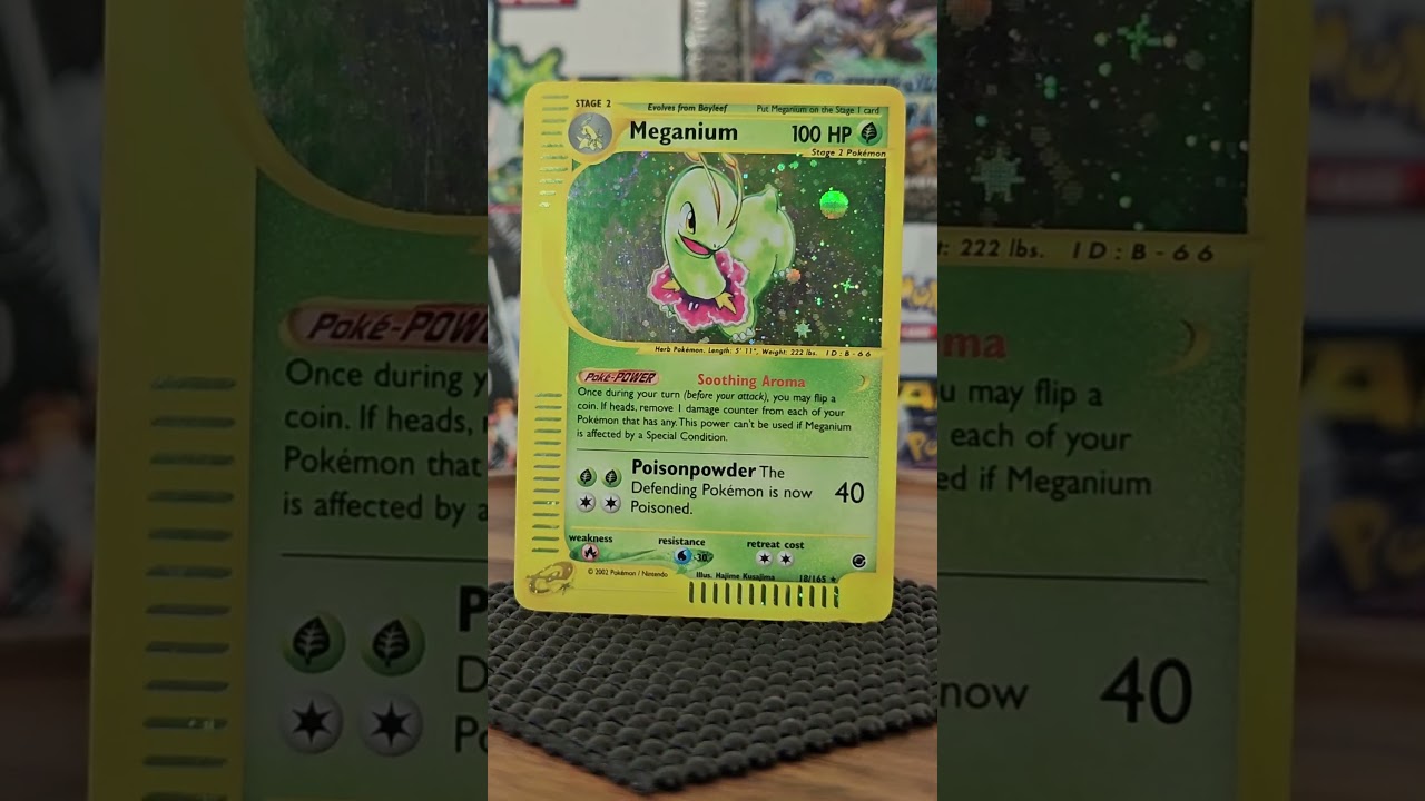 Holo Rare Meganium #pokemon #tradingcards #pokemoncommunity #pokemontcg