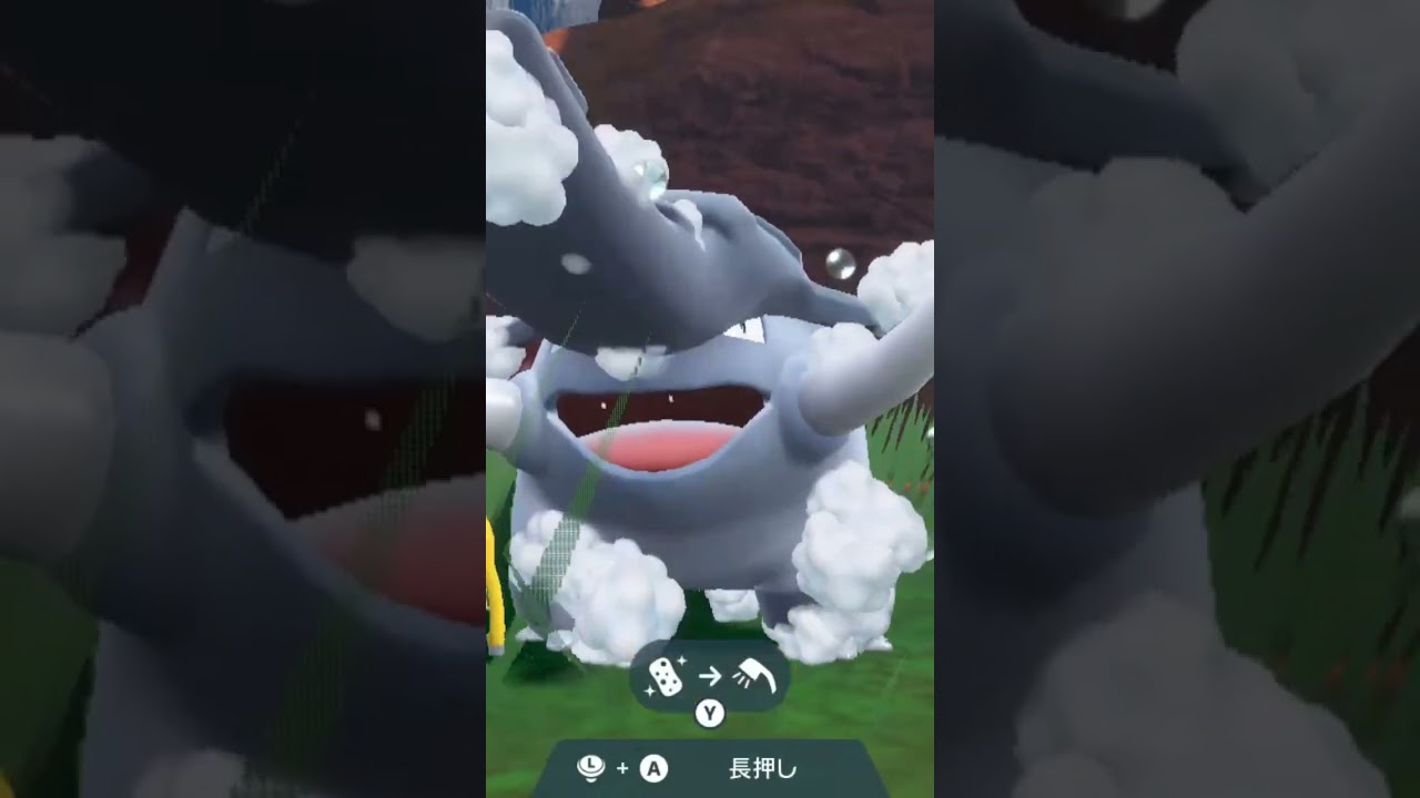 ドンファン Donphan【ポケモンsv】