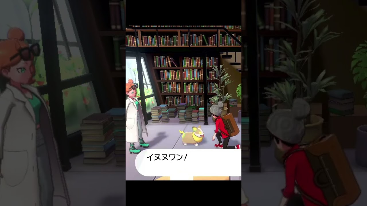 ワンパチ「イヌヌワン！」　#Shorts