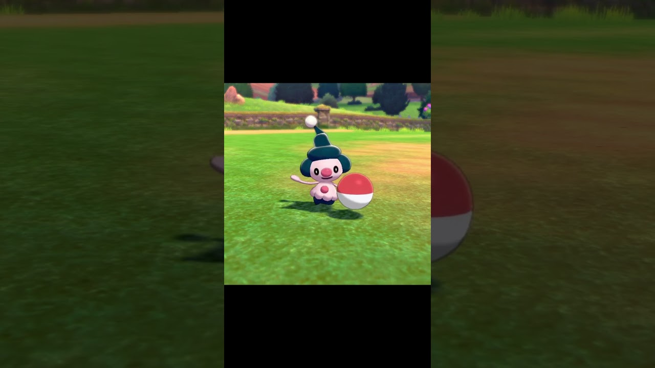 ボールを持って駆け寄ってくるマネネ　#Shorts