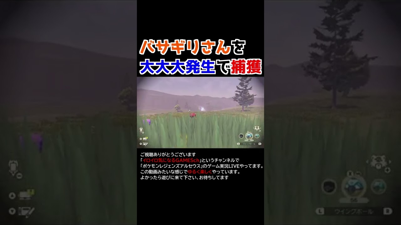 大大大発生でバサギリを捕獲する！【Pokémon LEGENDS アルセウス】