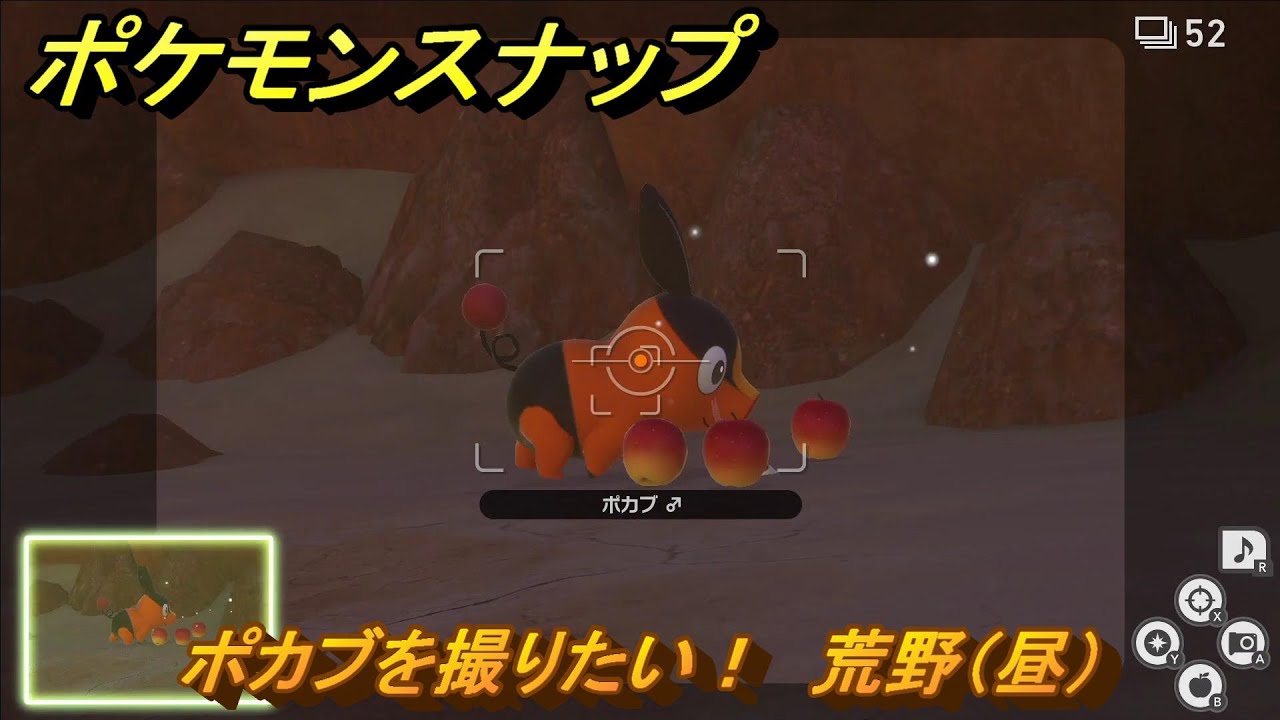 ポケモンスナップ　ポカブを撮りたい！　荒野（昼）調査レベル１　＃１２８　【New ポケモンスナップ】