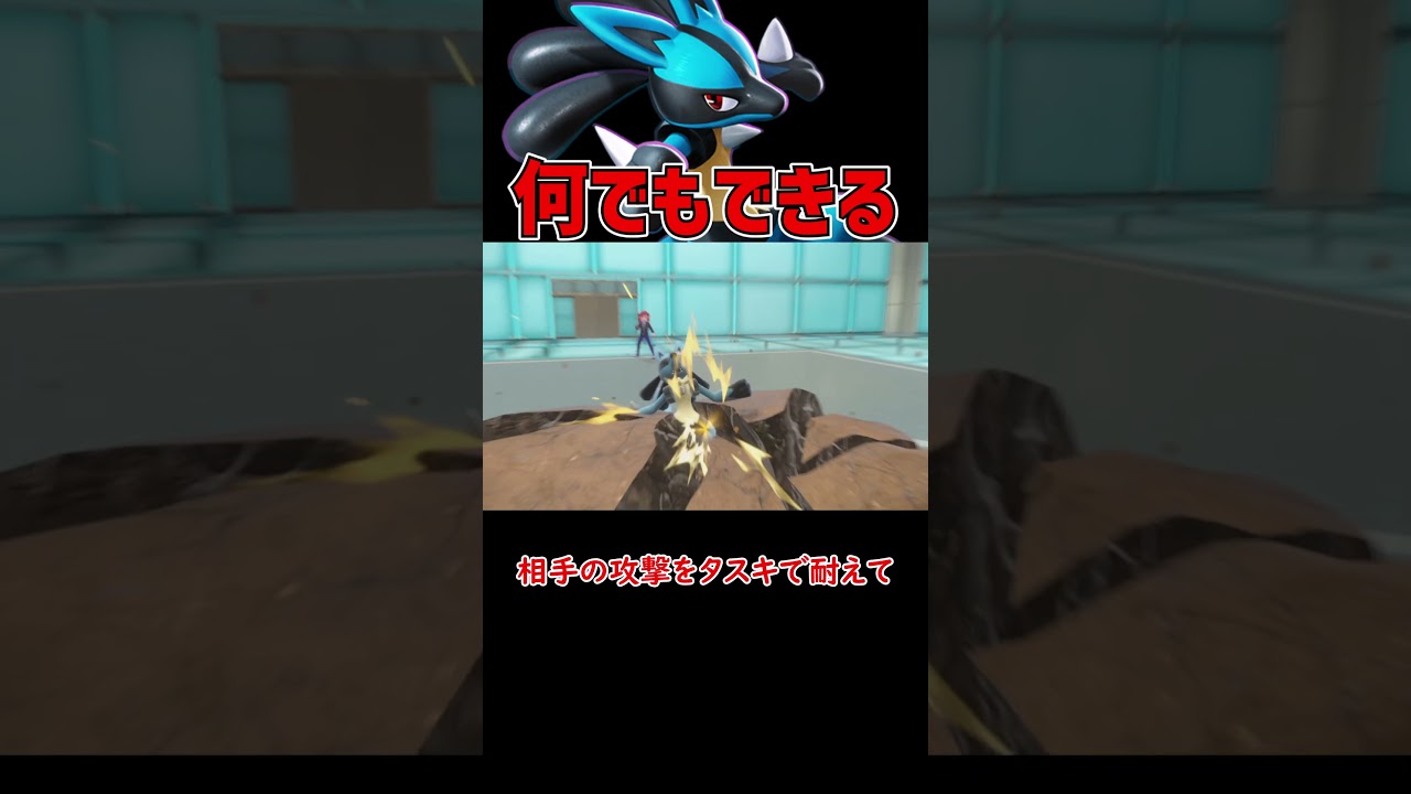 なんでもできる最強ルカリオ