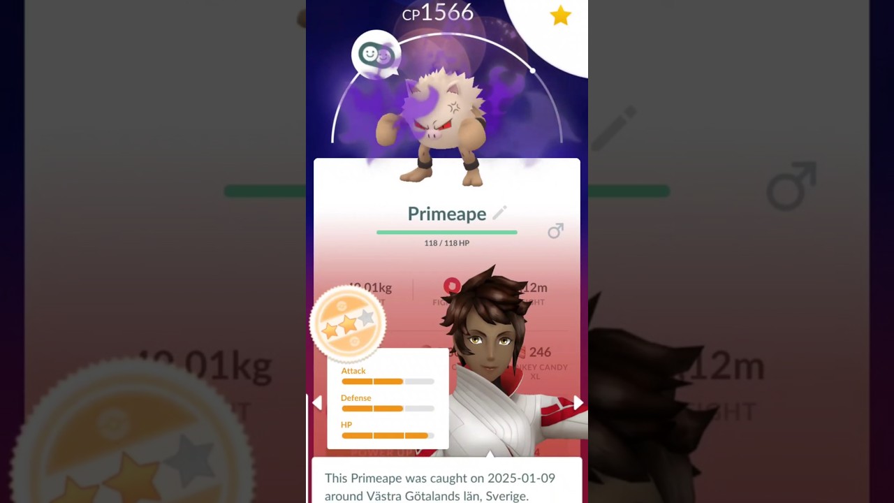 Spend +400 k stardust to my shadow  Primeape for Ultra league!!!🤯😎😱#pokemon #pokemongo #Primeape