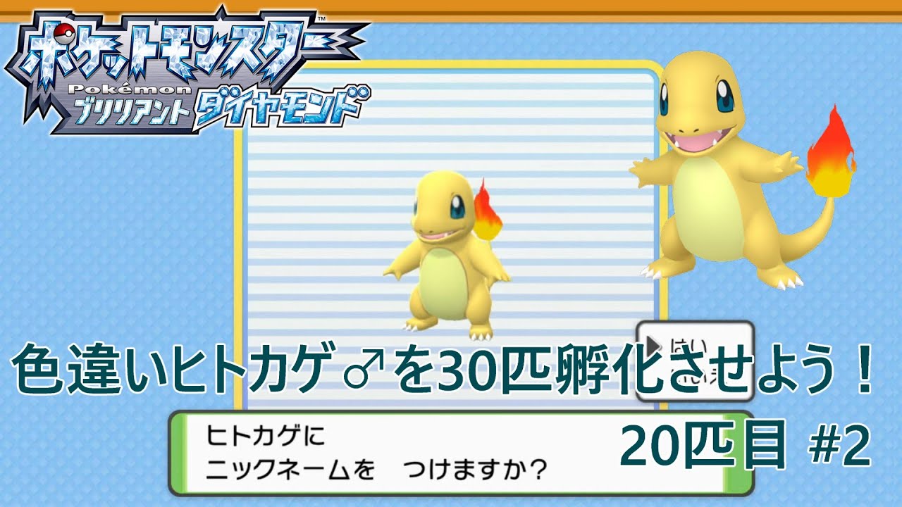 【ポケモンBDSP】色違いヒトカゲ♂を30匹孵化させよう！【色違い】 20匹目 #2