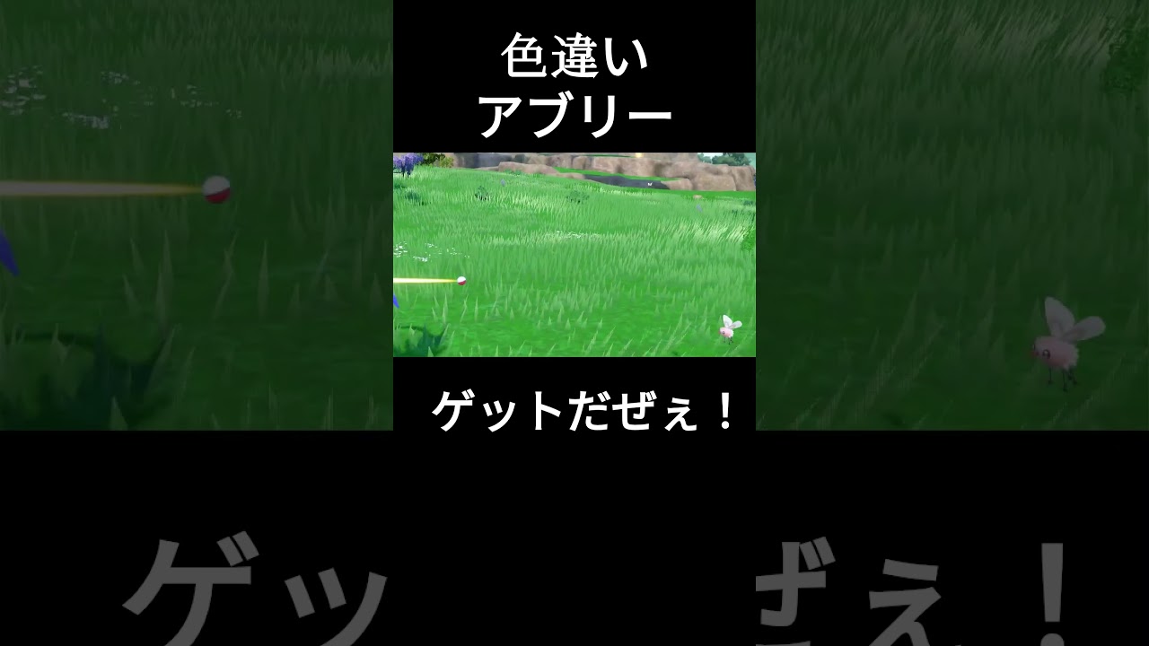 【ポケモンSV】色違いアブリーゲットだぜぇ！ ＃ポケモン ＃ポケモンSV ＃色違いポケモン ＃アブリー