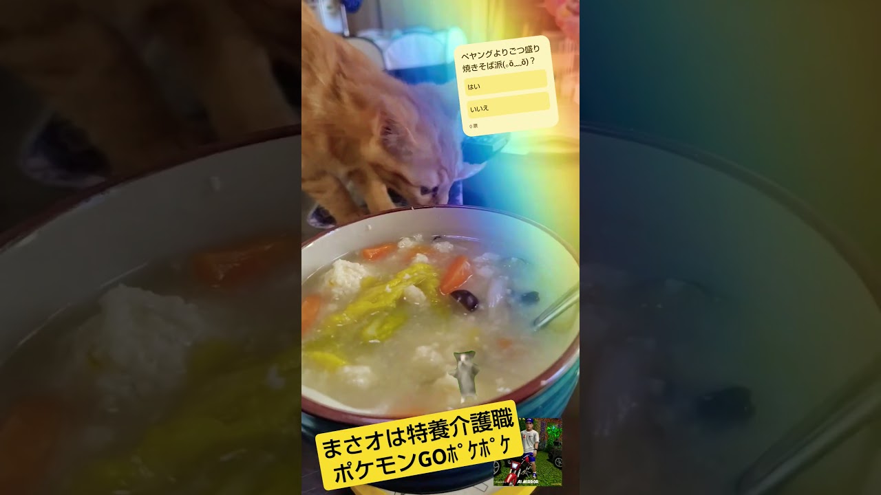 【Pokémon GOポケポケ】続イベルタルGETチャレンジ「高個体値マメパトご報告」feat.夜勤明けペヤング焼きそばwith保護猫 天音ちゃんと焼き芋#ポケモンGO#保護猫#ペヤング#PIGGS