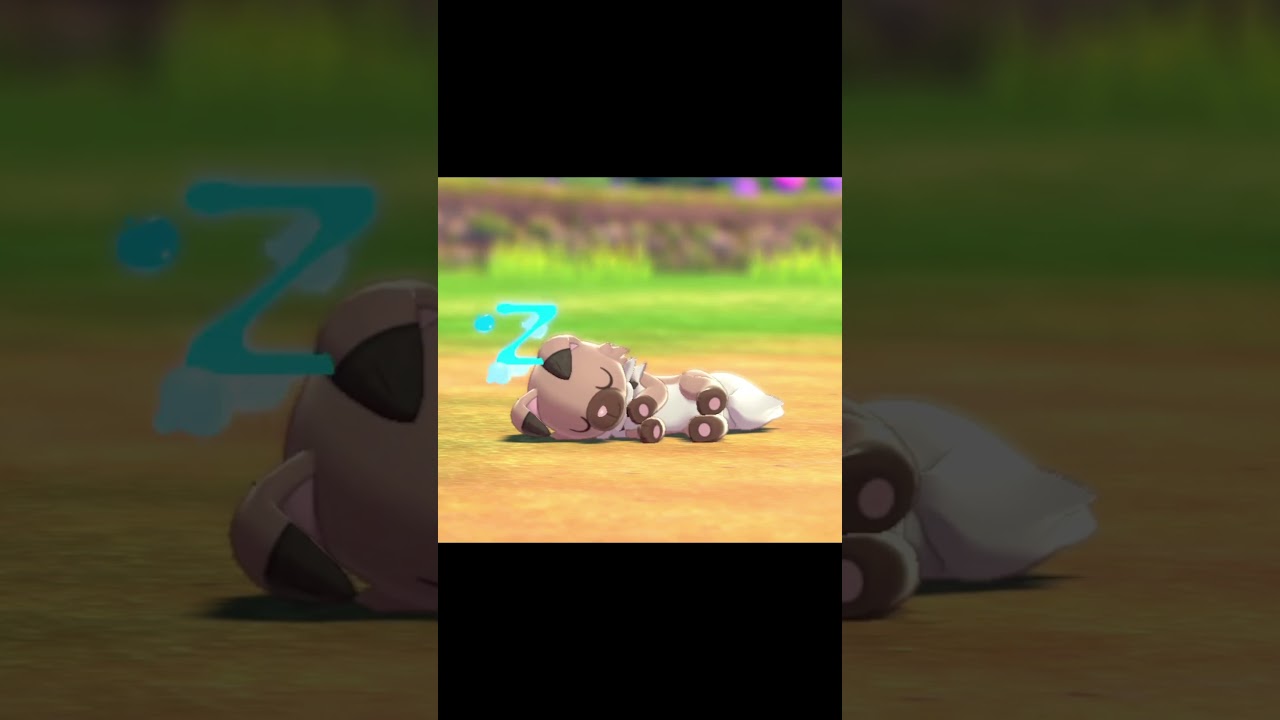 寝ているイワンコ　#Shorts