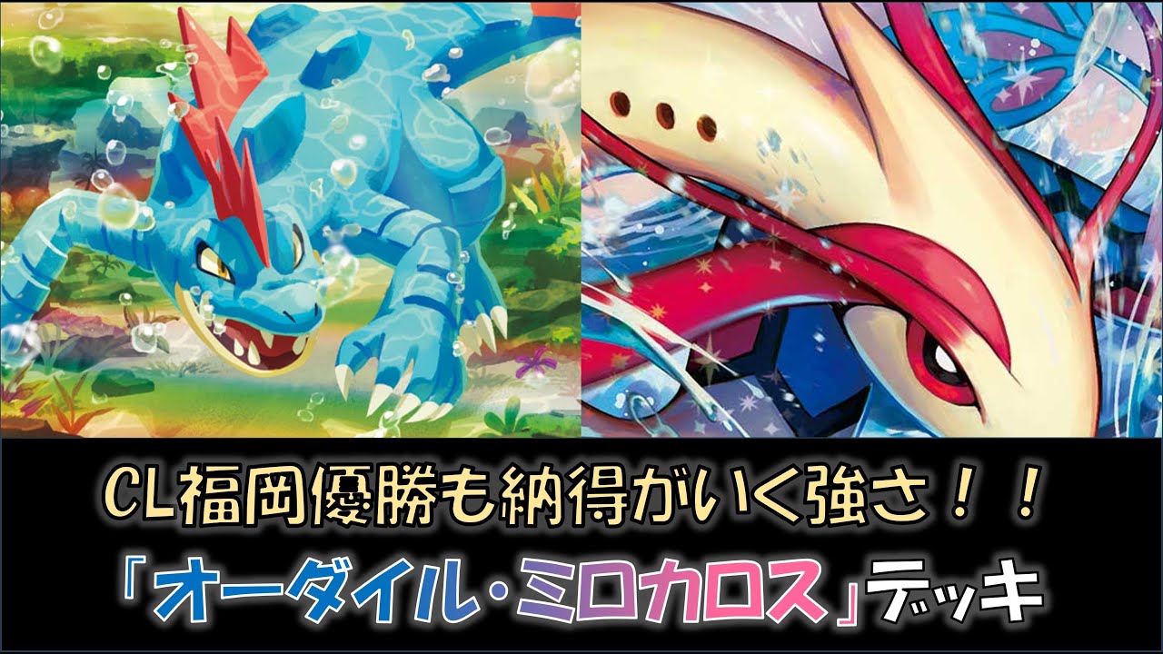 【ジムバ優勝】『オーダイル・ミロカロス』デッキをご紹介！