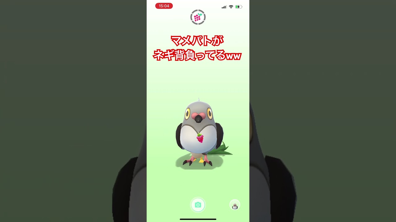 カモネギ呼んだらマメパトがネギ背負って出て来たww