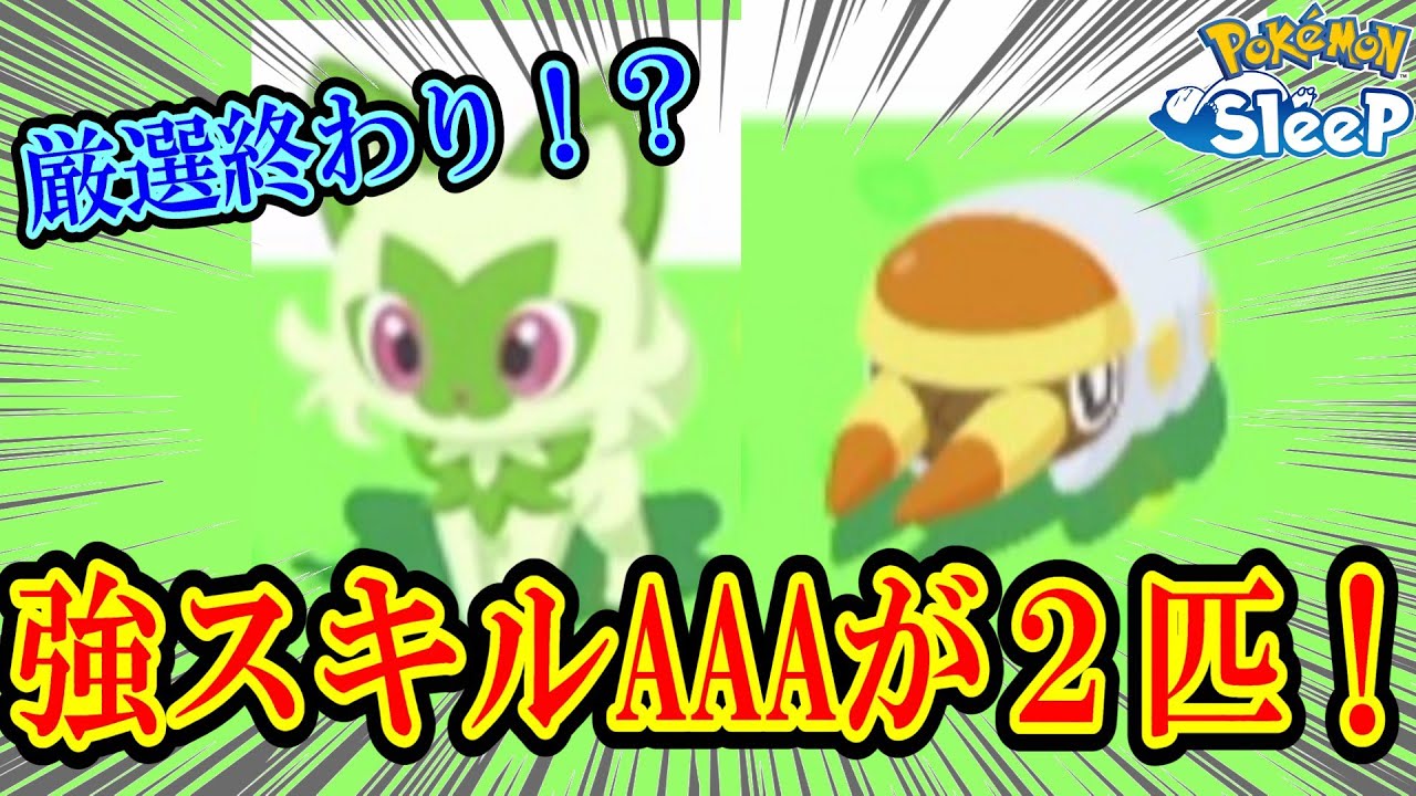 【衝撃的】AAAの強個体が２匹も来たからご報告！　この子らどう？【ポケスリ】