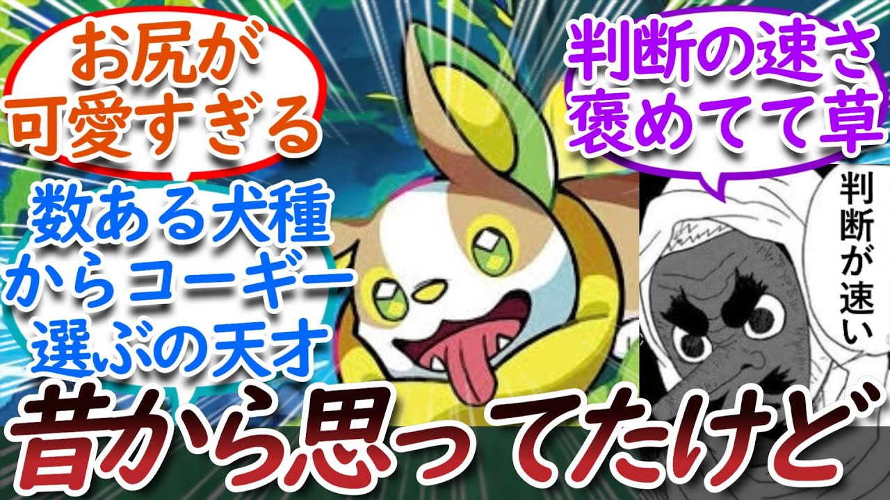 俺は昔から気付いてたんだけどワンパチってについての【反応集】