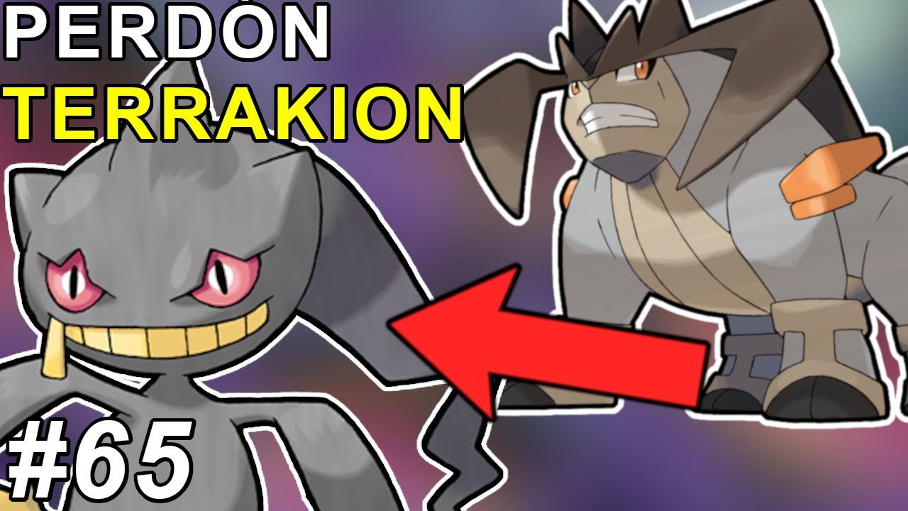 BANETTE contra el ESPACIO RARO! perdón TERRAKION por lo que hice