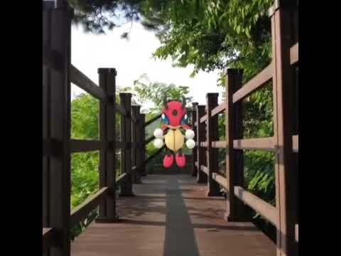 레디안 ( Ledian ) レディアン ( 安瓢蟲 )