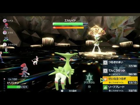ビリジオンでレイドバトルをやってみた🌱