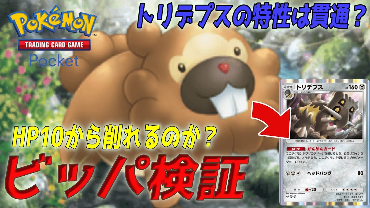 【ポケポケ】ビッパのいかりのまえばはトリデプスの特性を貫通！【ポケカアプリ】#ポケモン   　#pokemontradingcardgamepocket