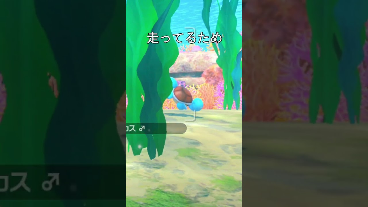 転ぶゼニガメ　#ポケモン #ポケモンスナップ #ゼニガメ