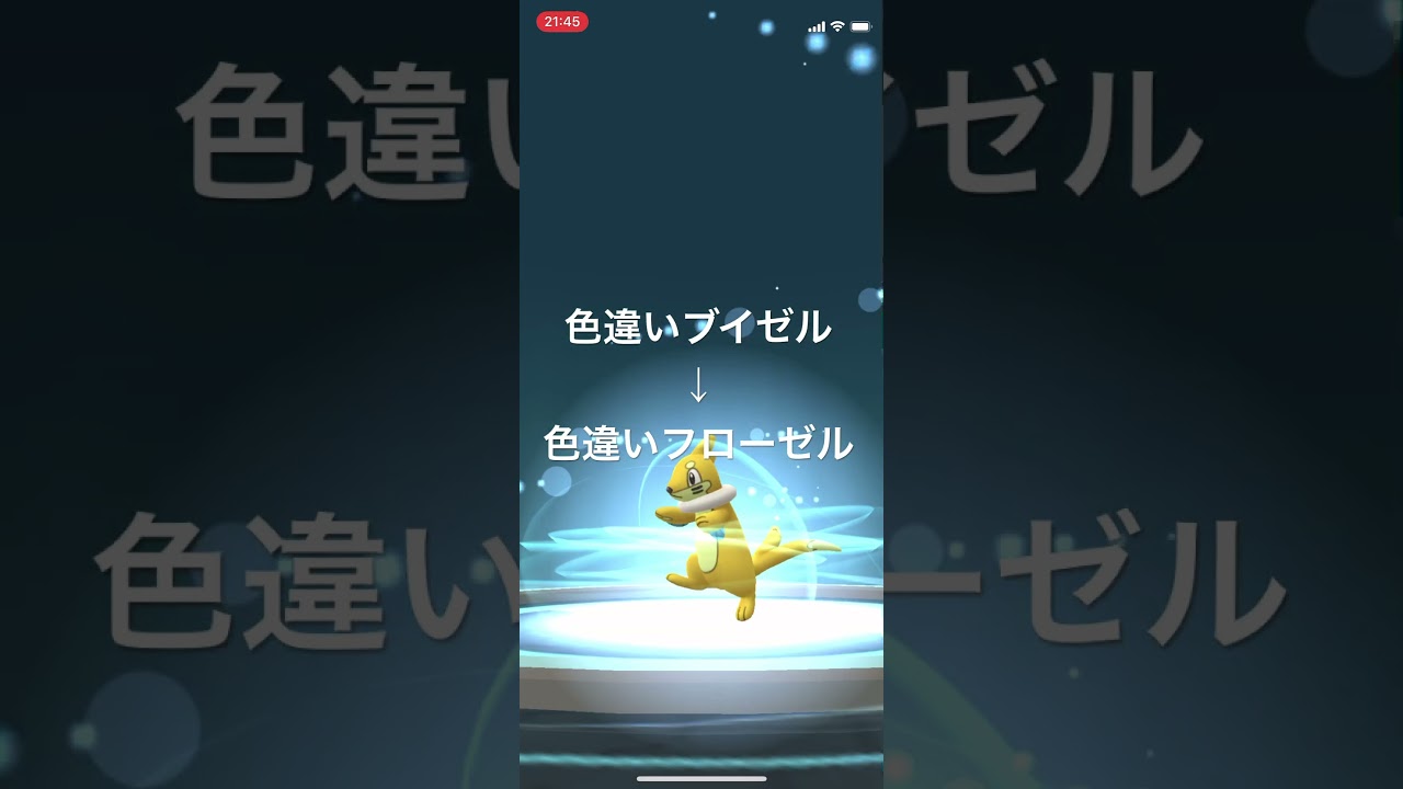 ポケモンGO 色違いブイゼル出現！色違いフローゼルへ進化！ #pokémon #ポケモンgo #pokemongo #ポケgo #ポケモン