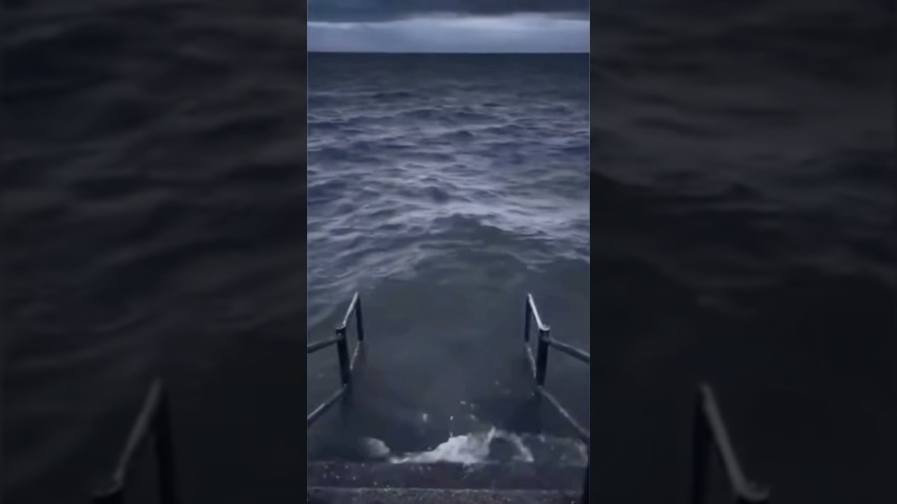 【ポケモンGO】ホエルコ捕まえようとしたら...#capcut #ポケモン #ポケモンgo #おもしろ動画