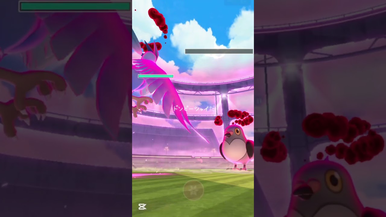 【ポケモンGO/ダイマックスレイド】　マメパト #pokémon #pokemon #pokémongo #ポケモン #ポケモンgo #ダイマックス #レイド　#ポケットモンスター#マメパト