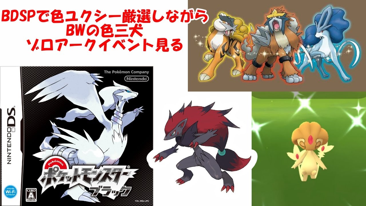 BDSPで色違いユクシー厳選しながらBWの色三犬ゾロアークイベント見る→海底洞窟→強化四天王→中古ホワイト開封【ポケモンBW】