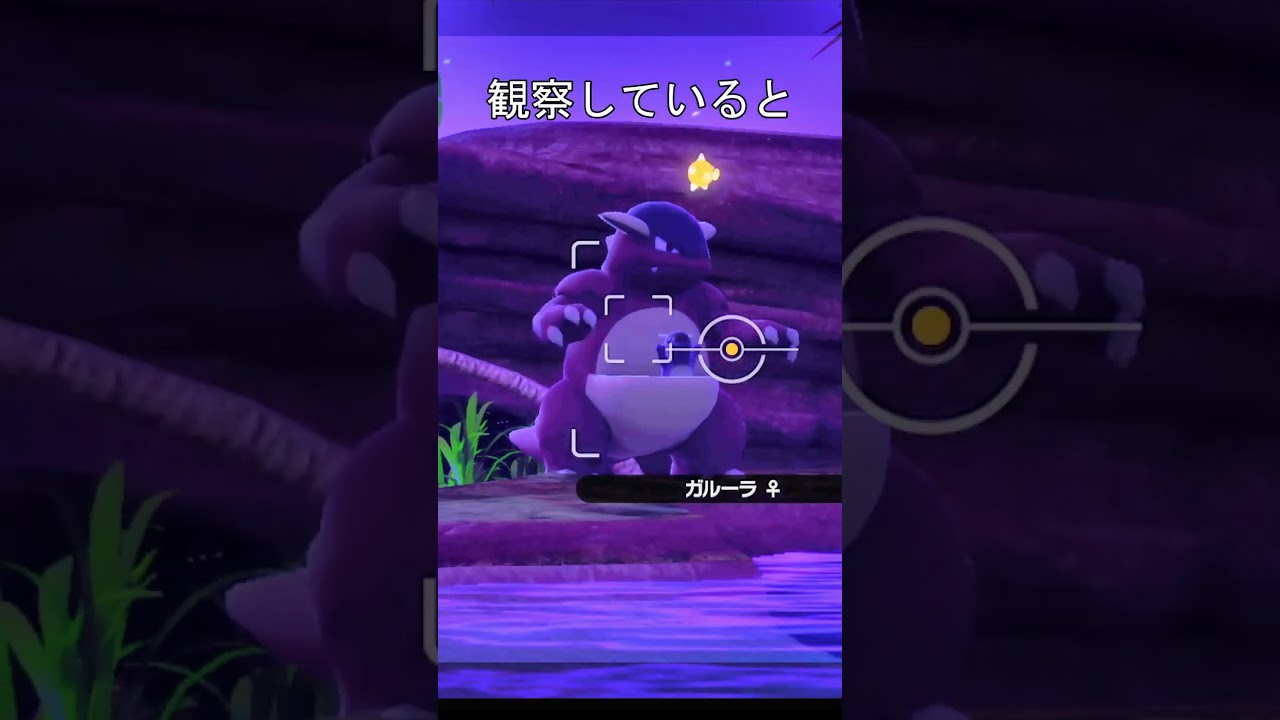 子供をあやすガルーラ #ポケモン #ポケモンスナップ #ガルーラ