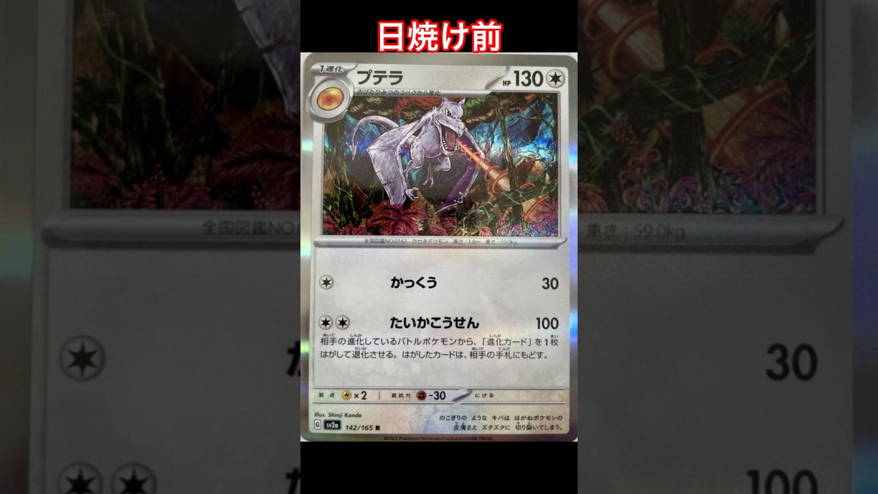 プテラの日焼けポケカ #ポケモンカード