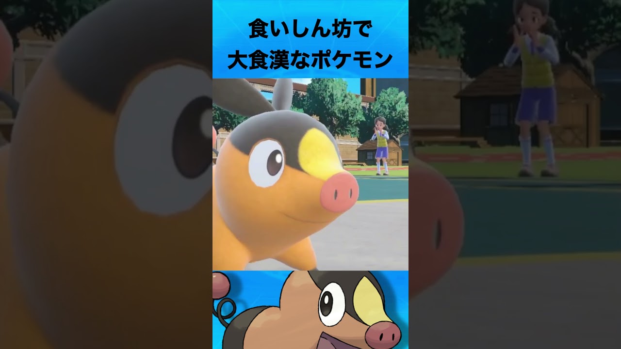 ポカブについて #ポケモン #ポカブ #御三家