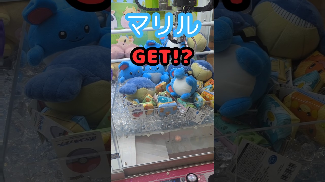 【クレーンゲーム】マリル捕まえた！？#shorts #ゲーセン #クレーンゲーム #ポケモン