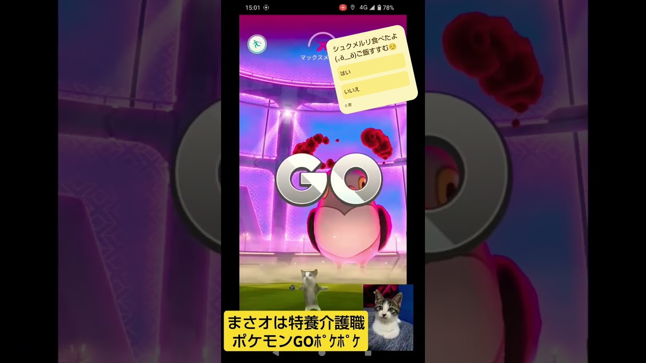 【Pokémon GOポケポケ】マメパト対大マメパト「夜勤明け松屋シュクメルリ」feat.食パンにブロッコリーwith保護猫焼き芋ちゃん#ポケモンGO#ポケポケ#保護猫#松屋#PIGGS#シュクメルリ